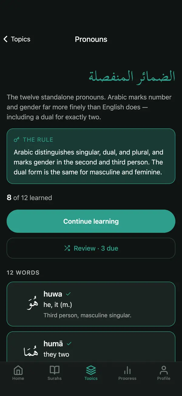 The Pronouns topic: its rule and the twelve detached pronouns